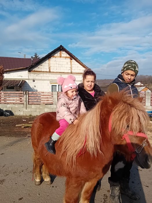 Vind ponei cuminte mai multe detali  la Telefonica