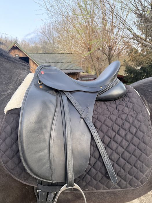 Sa /sei/ echitatie calarie Albion noua  cai