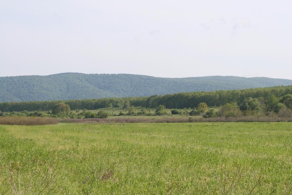 Продава се Парцел в Бяла - 1294 кв.м за 26 €/кв.м - Снимка #6