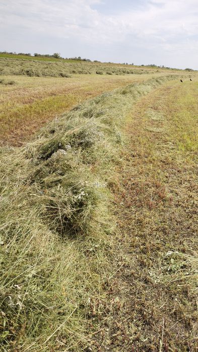 Продам рулоны 2025