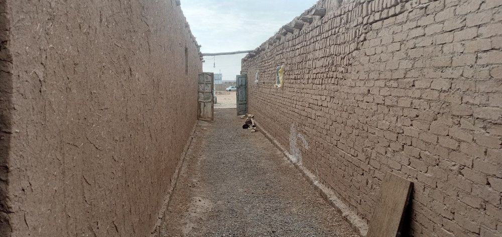 1-gektar yerda joylashgan 5000talik tovuqxona va sehlar bor