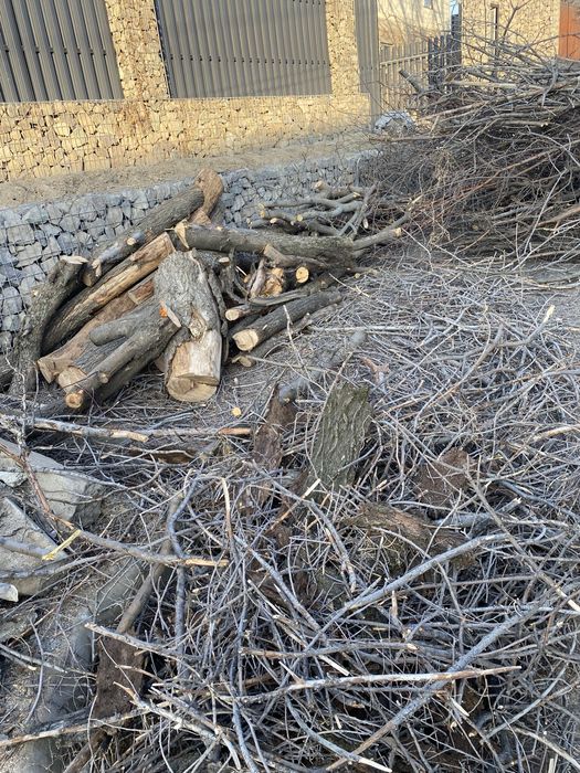 Дрова яблоня, карагач