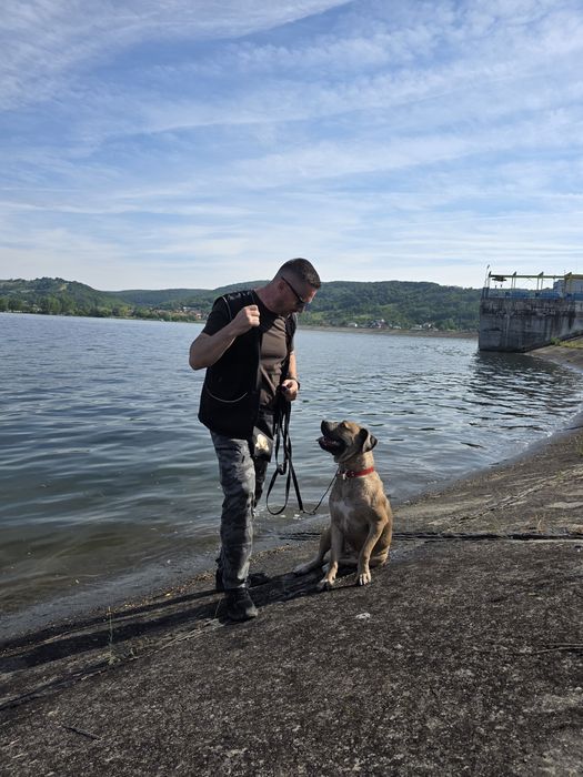 Dresaj canin, reabilitare comportamentală, disciplina, vână