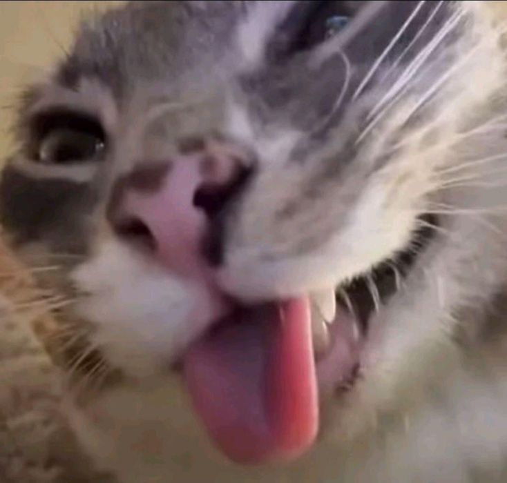 Samsung Odyssey G5 "32" 165hz