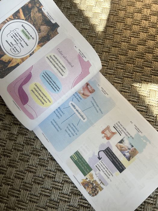 Flashcards Madalina gastro