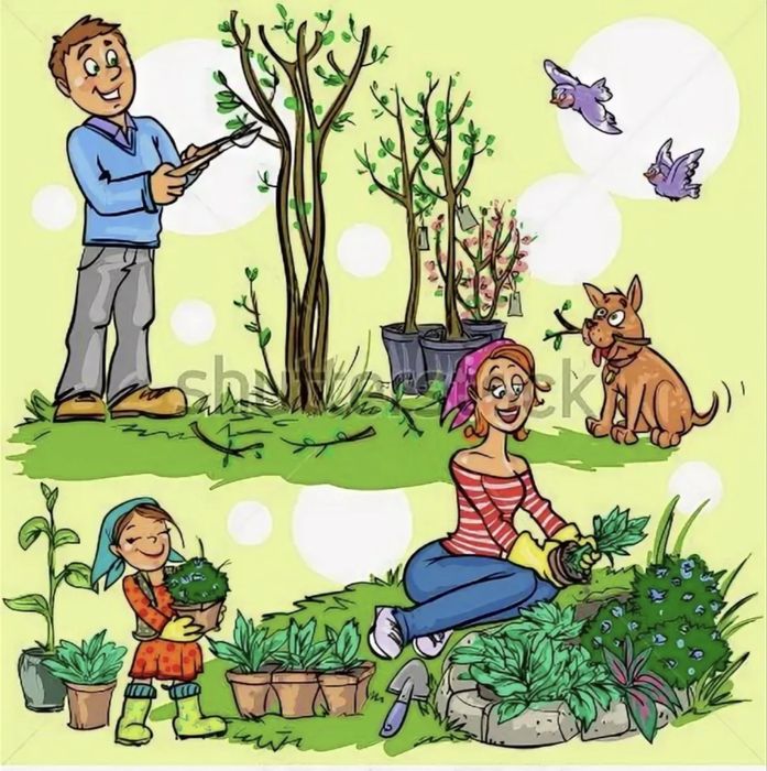 Забота о доме: растения, животные, уход в Алматы