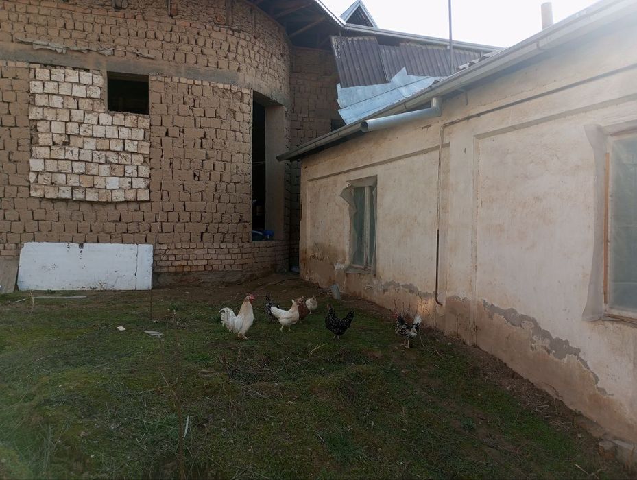 Tashkent shahar Yunsobot tumani shiribom mostidan tushkanda