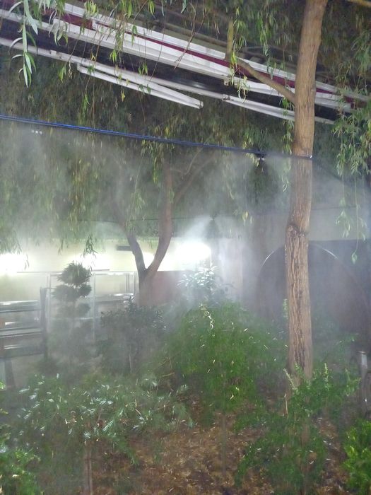 Setka va mikroklimat ustanovka qilamiz