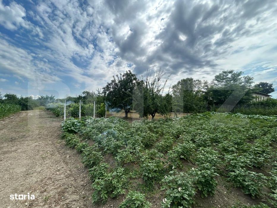 Teren | Crangurile De Jos | 6796 Mp | Intravilan |
