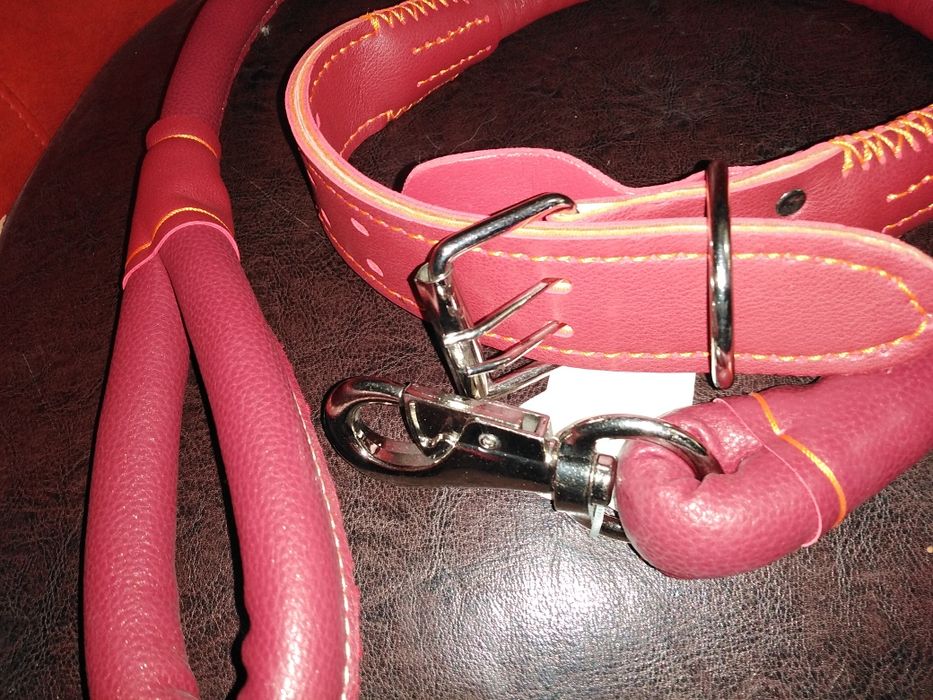 Lesa caini și zgarda set