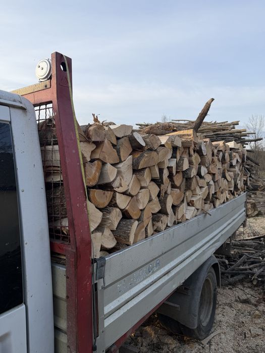 Lemn de foc, esenta tare