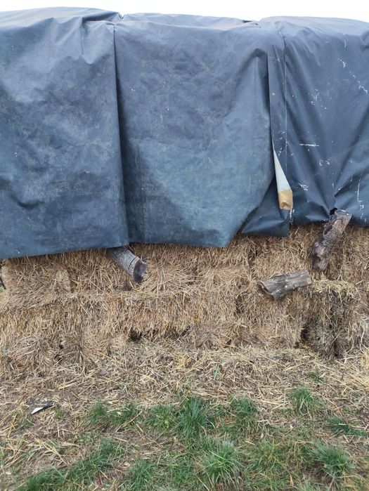 Vand baloti de paie de trichitale