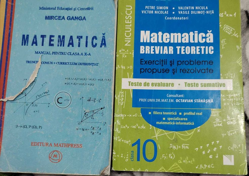 Culegeri pentru Bac și liceu: matematică X–XII, biologie, română.