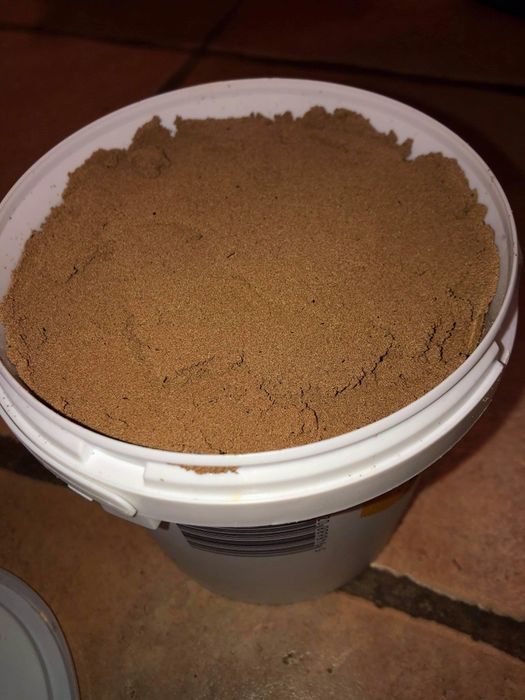 Oua de Artemia hrana puiet