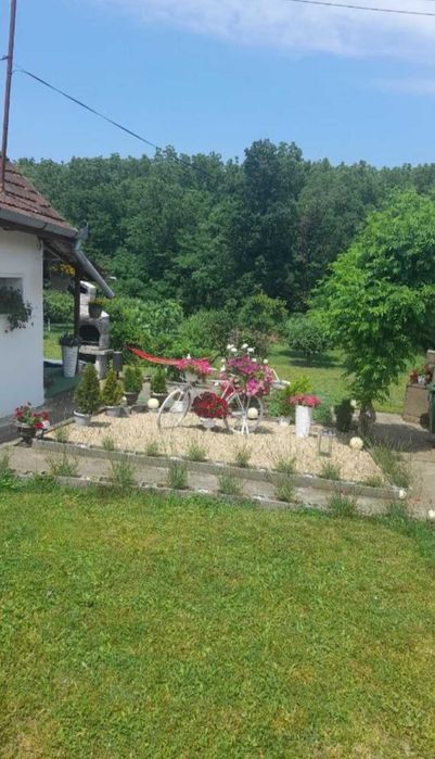 Cazare statiunea turistica Tasnad