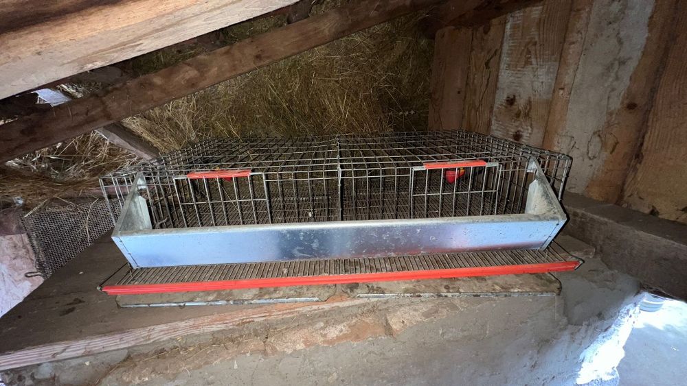 Cuști de prepelițe