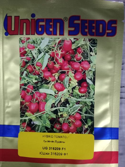 Продам семена томатов чери