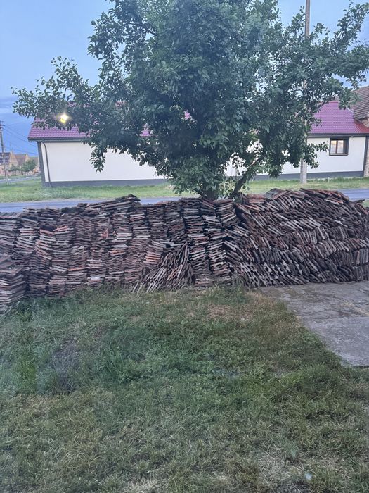 Tigla LEU Jimbolia de vanzare