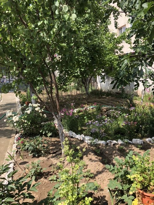 cazare in regim hotelier Mangalia la mare pe litoral