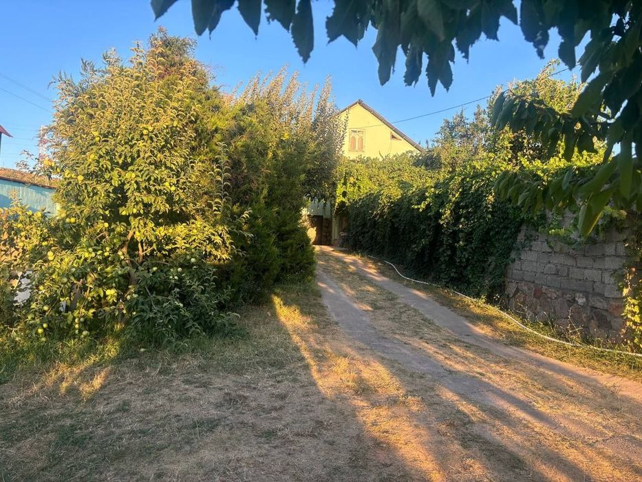 Дача чарвак сотилади