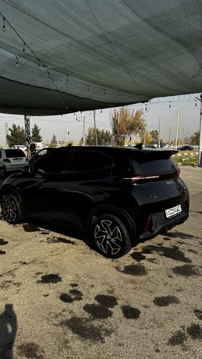 Byd seagull qora 2024/2025