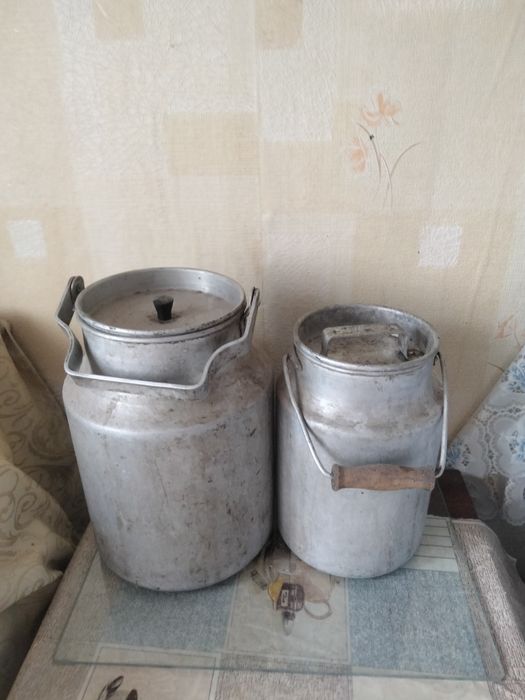 Бидоны молочные .