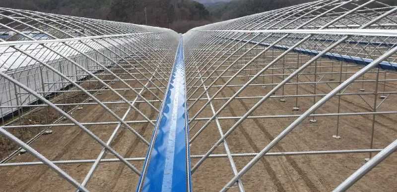 Koreya issiqxonalari va issiqxona uchun materiallar