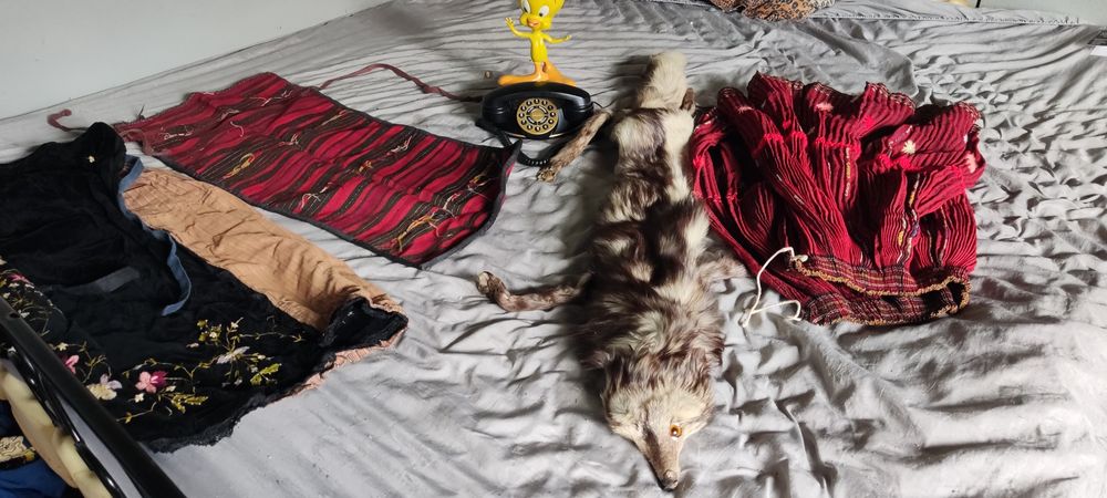 Антикварни неща имат и монети