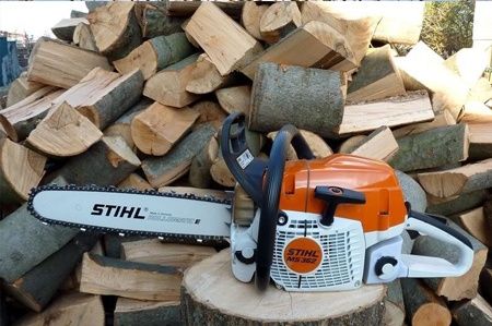 Пилим деревья бесплатно