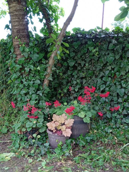 Продава се Къща в с. Бероново, Област Бургас - 142 кв.м за 353 €/кв.м - Снимка #13