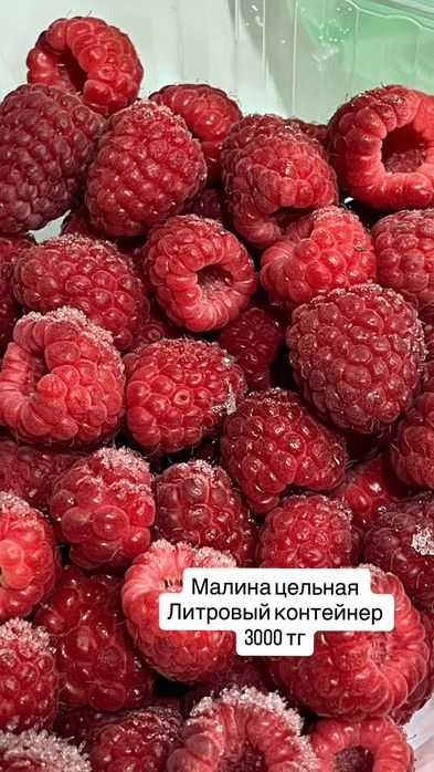 Консервация домашняя