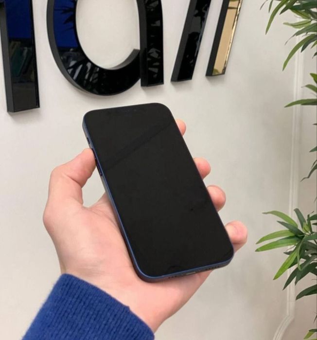 Iphone 12 mini. radnoy