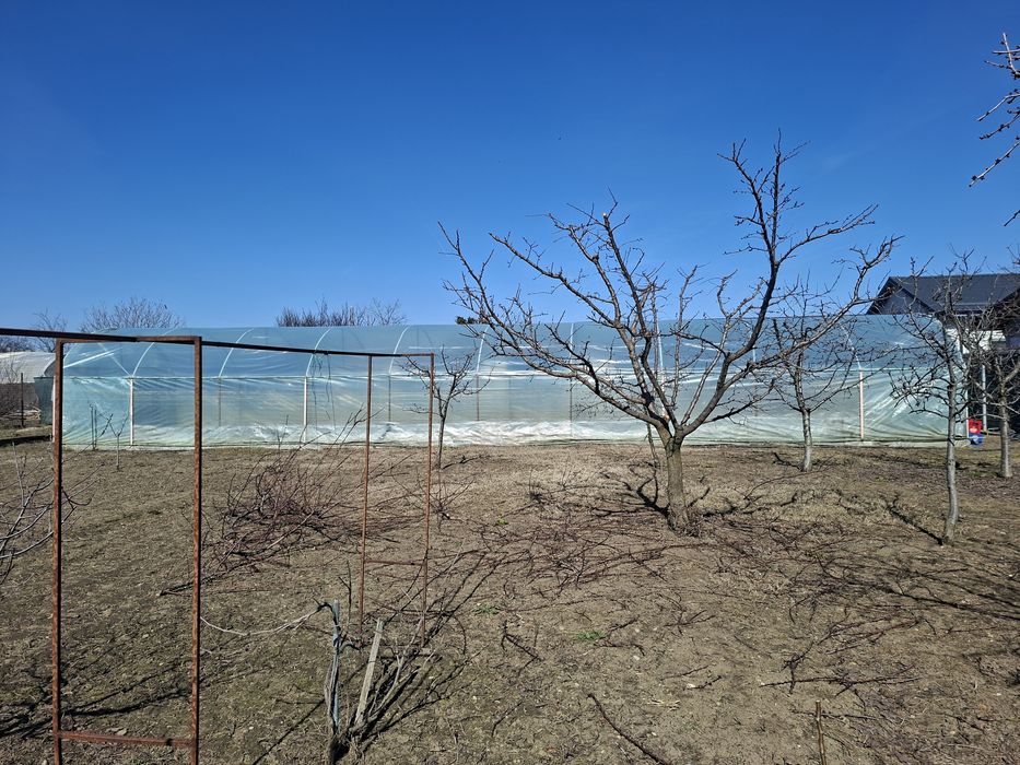 Solar grădină  22x5 m