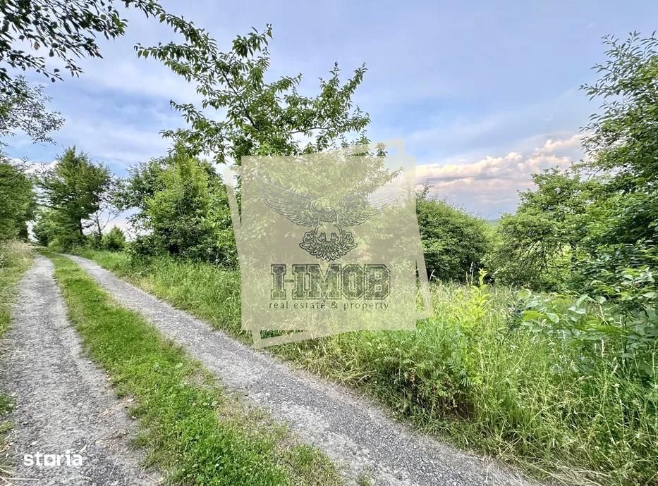 Teren intravilan 1080 mp zona Tropinii Noi