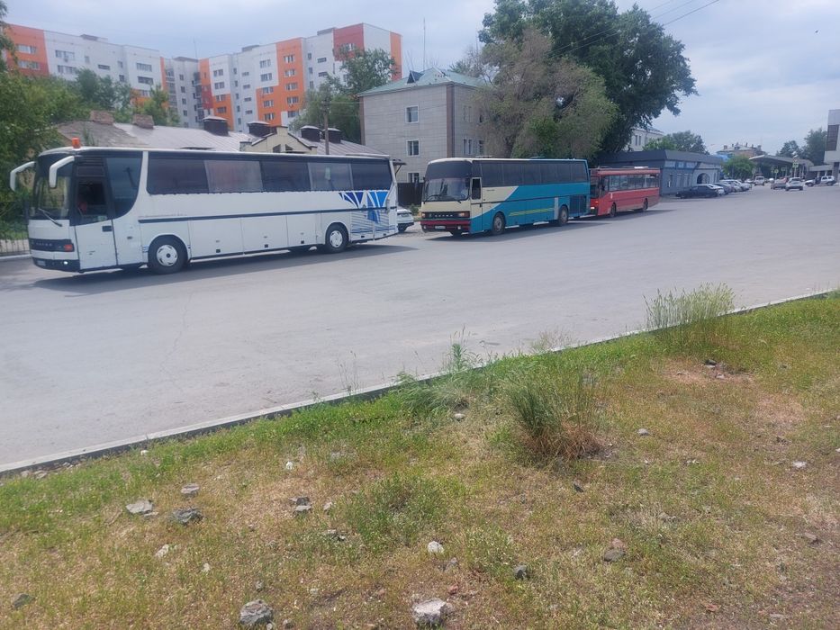 Автобус на заказ