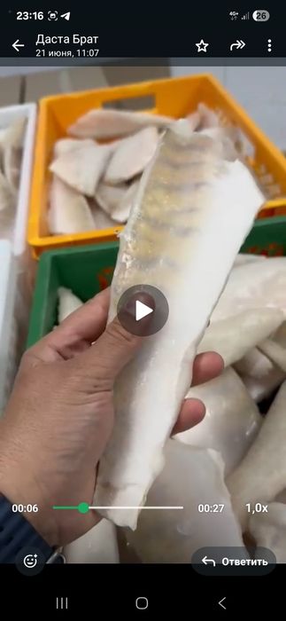 Судак филе Шардара 100%