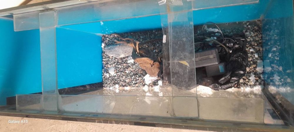Akvarium sotiladi tezda