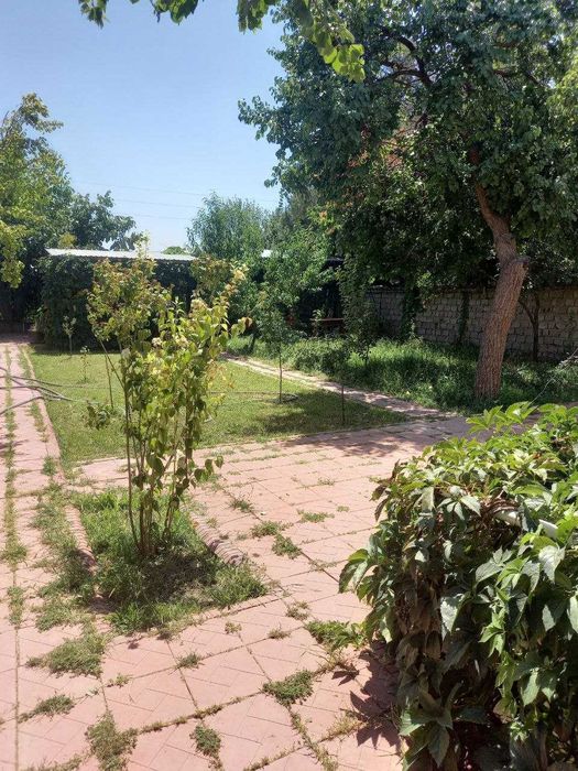 Дача, Бустанлыкский район