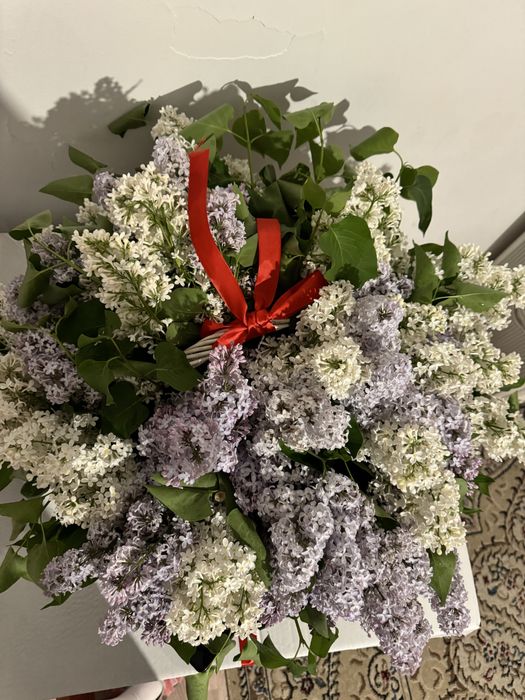 Апрельская сиреееннь