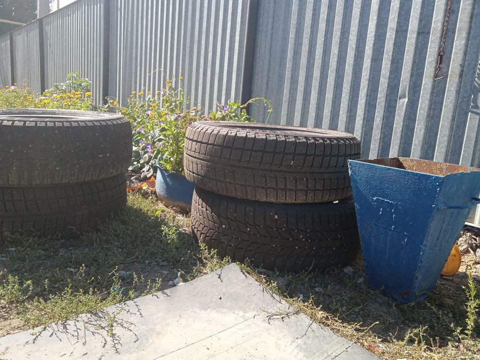 Продам лепучка зимние срочно