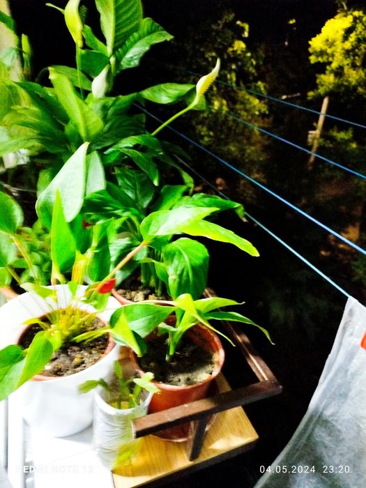 Установка белевых роликов .Мирзо улугбекский район.