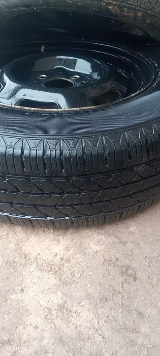 Шиналар сотилади JINYU