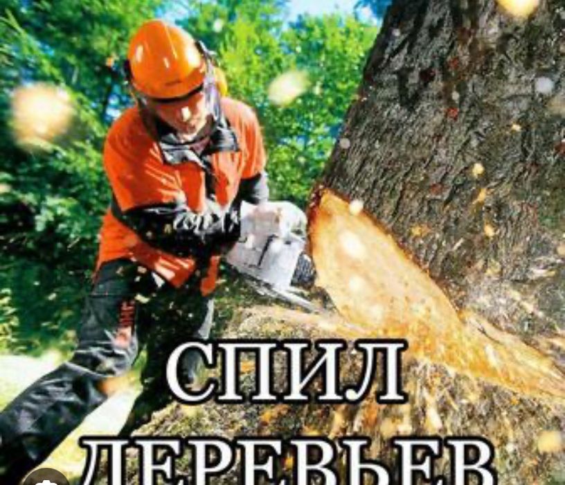 Спил деревьев чистка участка