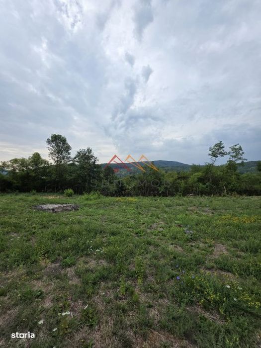 Teren Intravilan, utilitati in zona, 2600 mp, Draganeasa, Prahova