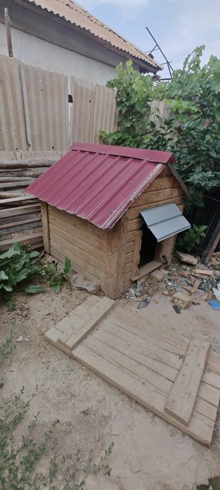 Собачий дом или будка