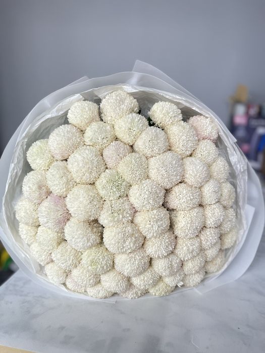 Белые хризантемы свежие