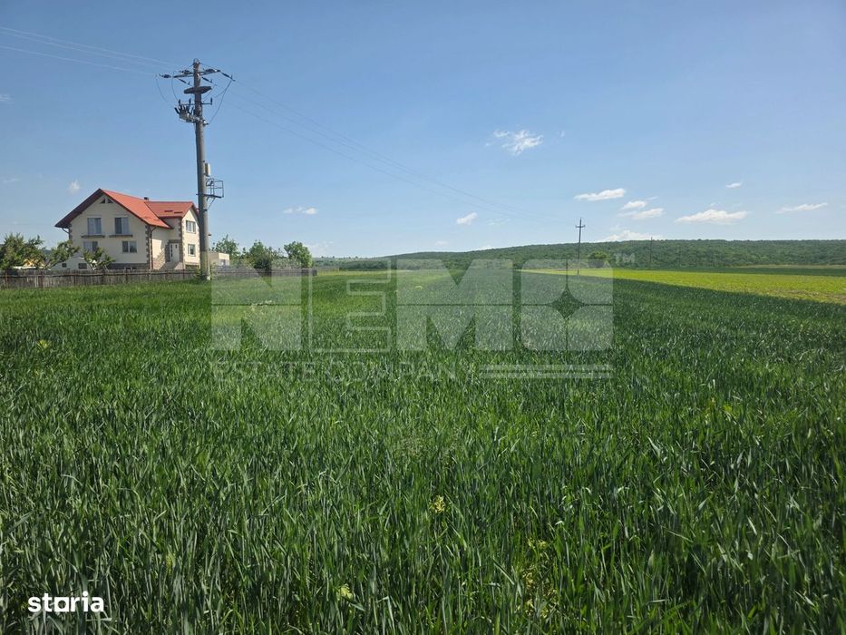 Teren Extravilan | Mitocu Dragomirnei | 2.600 Mp