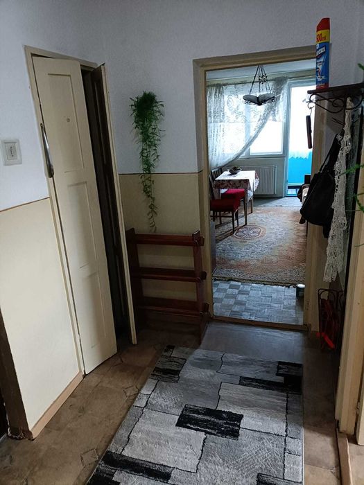 Apartament 3 camere