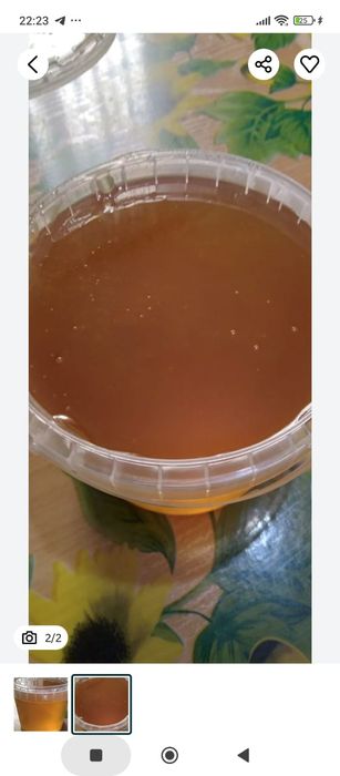 Продам грушу домашний