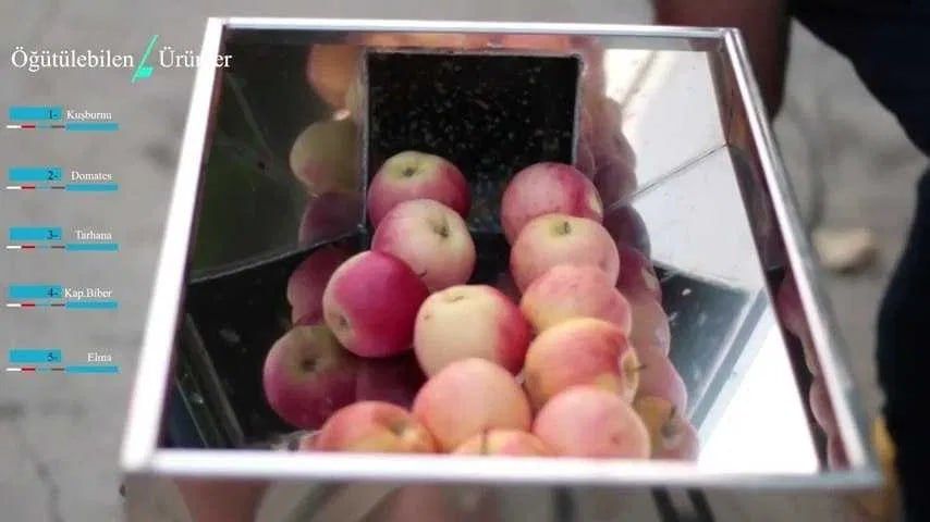 Соковижималка 220в